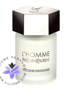 عطر ادکلن ایو سن لورن ال هوم کلن جینجمبر Yves Saint Laurent L’Homme Cologne