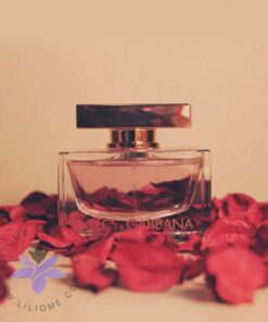 عطر ادکلن دی اند جی دلچه گابانا رز دوان-Dolce Gabbana Rose The One