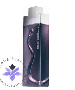 عطر ادکلن روبرتو کاوالی بلک مردانه-Roberto Cavalli Black