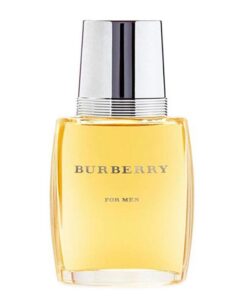 عطر ادکلن باربری مردانه-Burberry for men