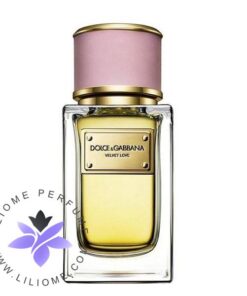عطر ادکلن دلچه گابانا ولوت لاو-Dolce Gabbana Velvet Love