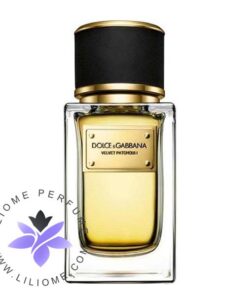 عطر ادکلن دی اند جی دلچه گابانا ولوت پچولی-Dolce Gabbana Velvet Patchouli