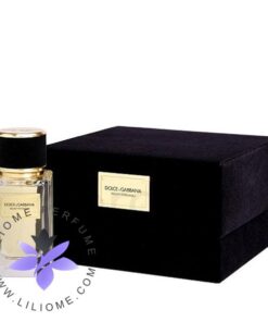 عطر ادکلن دی اند جی دلچه گابانا ولوت پچولی-Dolce Gabbana Velvet Patchouli