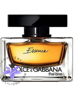 عطر ادکلن دلچه گابانا دوان اسنس-Dolce Gabbana The One Essence