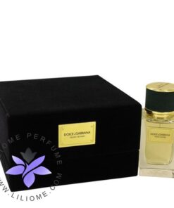عطر ادکلن دلچه گابانا ولوت وتیور-Dolce Gabbana Velvet Vetiver