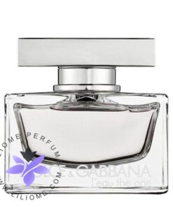 عطر ادکلن دلچه گابانا لئو دوان-Dolce Gabbana L`eau The One
