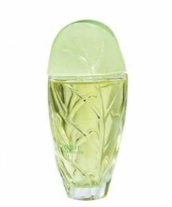 عطر ادکلن ایو روشه دیزایر د نیچر-Yves Rocher Desir de Nature
