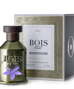 عطر ادکلن بویس ۱۹۲۰ دولچه دی جیورنو-Bois 1920 Dolce di Giorno