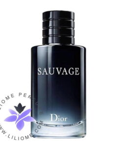 عطر ادکلن دیور ساواج-ساوج-ساواژ-Dior Sauvage 200 ml