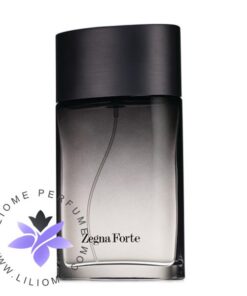 عطر ادکلن ارمنگیلدو زگنا زگنا فورت-Ermenegildo Zegna Zegna Forte