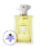 عطر ادکلن آمواج بیچ هات مردانه | Amouage Beach Hut Man