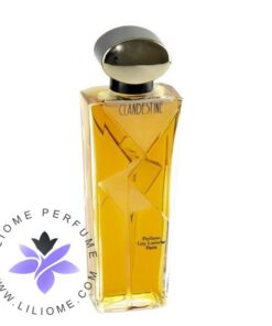 عطر ادکلن گای لاروش کلاندستین-Guy Laroche Clandestine