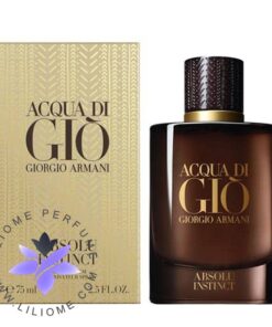 عطر ادکلن جورجیو آرمانی آکوا دی جیو ابسولو اینستینکت Giorgio Armani Acqua di Giò Absolu Instinct