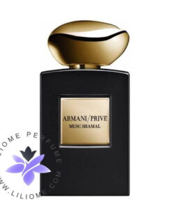 عطر ادکلن جورجیو آرمانی ماسک شامال Giorgio Armani Musc Shamal