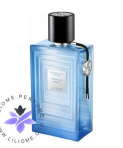 عطر ادکلن لالیک گلوریوس ایندیگو آبی | Lalique Glorious Indigo