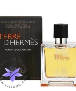 عطر ادکلن هرمس تق هرمس فلاکون اچ 2021 پارفوم | Hermes Terre d'Hermes Flacon H 2021 Parfum