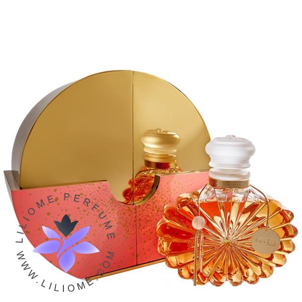 لیلیوم عطر