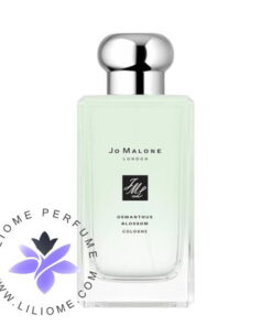 عطر ادکلن جو مالون اسمانتوس کلون | Jo Malone Osmanthus Cologne