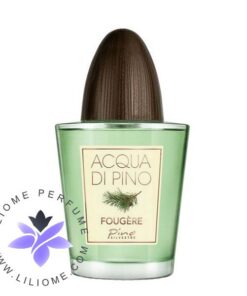 عطر ادکلن پینو سیلوستره آکوا دی پینو فوژه | Pino Silvestre Acqua di Pino Fougere