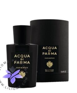 عطر ادکلن آکوا دی پارما اند اسپایس | Acqua di Parma Oud & Spice