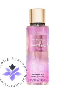 بادی اسپلش ویکتوریا سکرت ولوت پتالز این بلوم | Victoria's Secret Body Splash Velvet Petals In Bloom