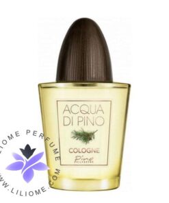 عطر ادکلن پینو سیلوستره آکوا دی پینو کلون | Pino Silvestre Acqua di Pino Cologne