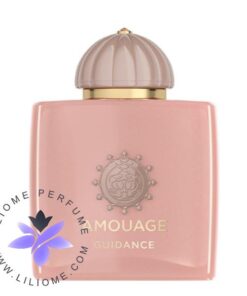 عطر ادکلن آمواج گایدنس | Amouage Guidance
