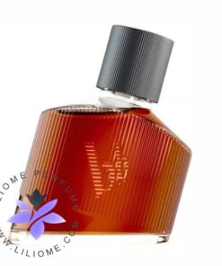 عطر ادکلن برونو بنانی مگنتیک من | Bruno Banani Magnetic Man