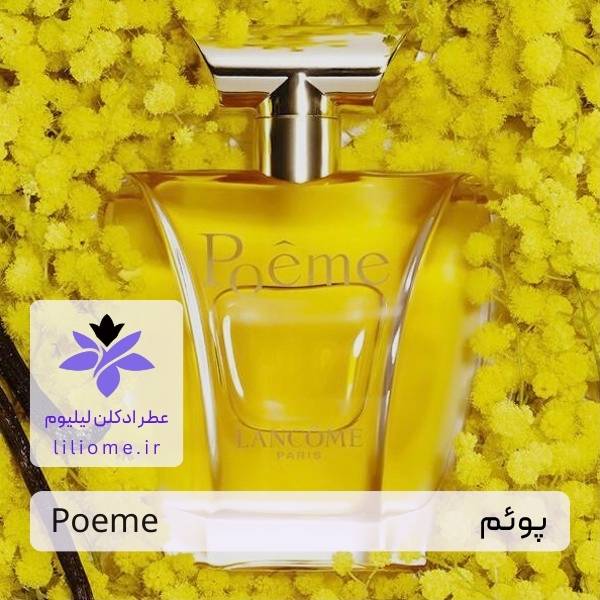 لیلیوم عطر