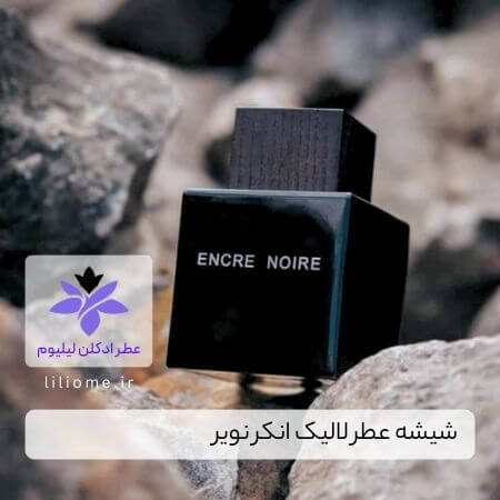 لیلیوم عطر