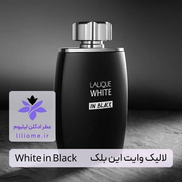 لیلیوم عطر