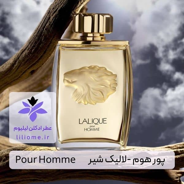 لیلیوم عطر