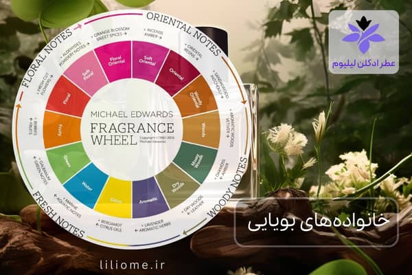 لیلیوم عطر