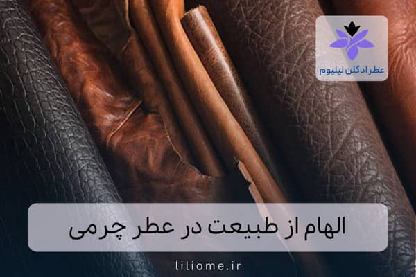 لیلیوم عطر