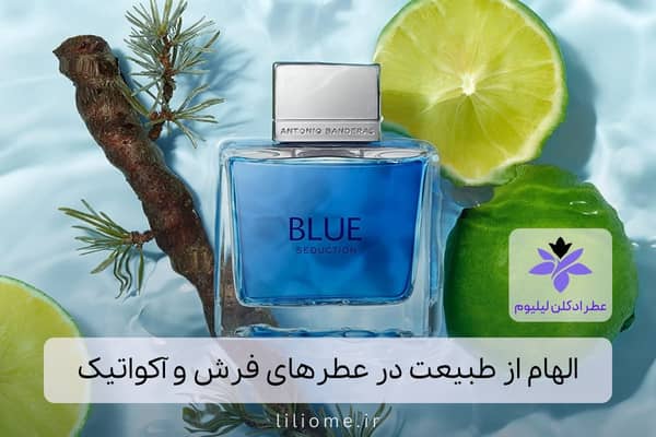 لیلیوم عطر