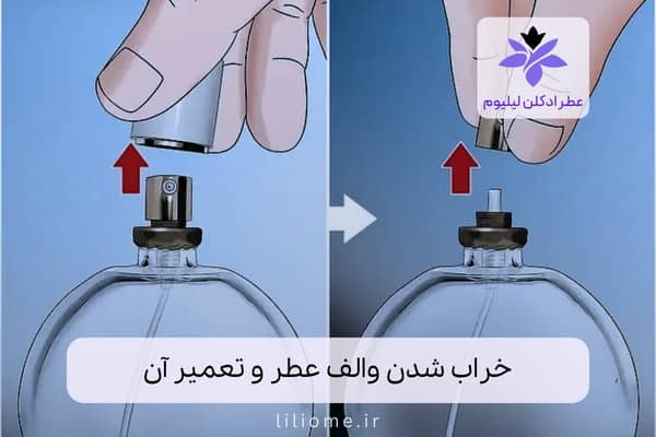 لیلیوم عطر