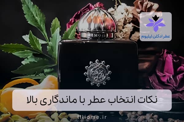 لیلیوم عطر