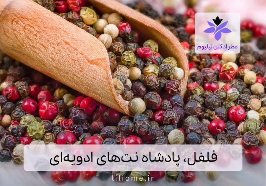 فلفل، پادشاه نتهای ادویهای