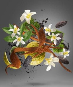 عطر ادکلن زرجوف هوم انیورسری