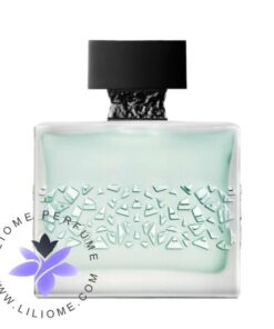 M. Micallef GNTONIC