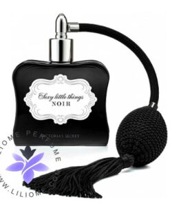 Victoria's Secret S_xy Little Things Noir
