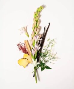 Histoires de Parfums Tuberose Nuit Blanche