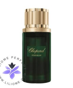 عطر ادکلن چوپارد سدار ملکی | Chopard Cedar Malaki