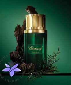 عطر ادکلن چوپارد سدار ملکی | Chopard Cedar Malaki