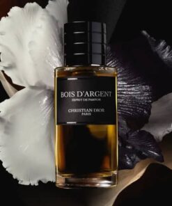 عطر ادکلن دیور بویس د ارجنت اسپریت د پارفوم | Dior Bois d’Argent Esprit de Parfum