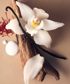 عطر ادکلن ویکتوریا سکرت بر سودید وانیلا | Victoria's Secret Bare Sueded Vanilla