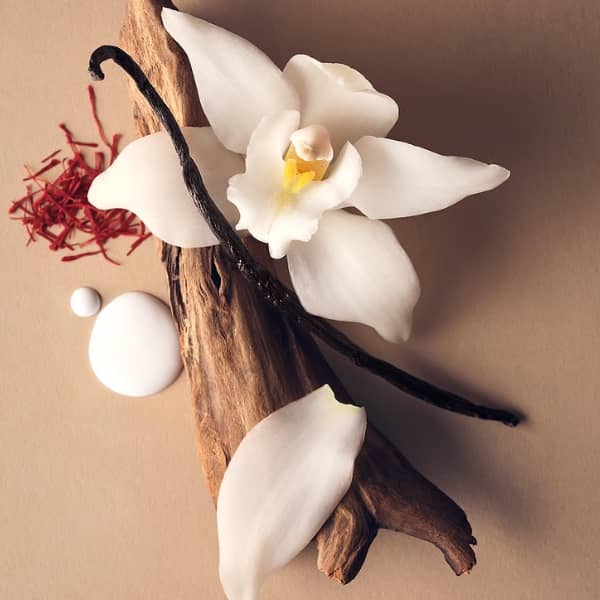 عطر ادکلن ویکتوریا سکرت بر سودید وانیلا | Victoria's Secret Bare Sueded Vanilla
