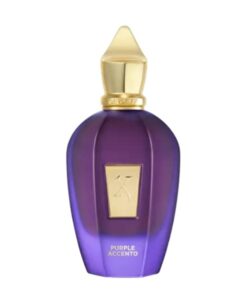 عطر ادکلن زرجوف پرپل اکسنتو ۲۰۲۵ | Xerjoff Purple Accento 2025